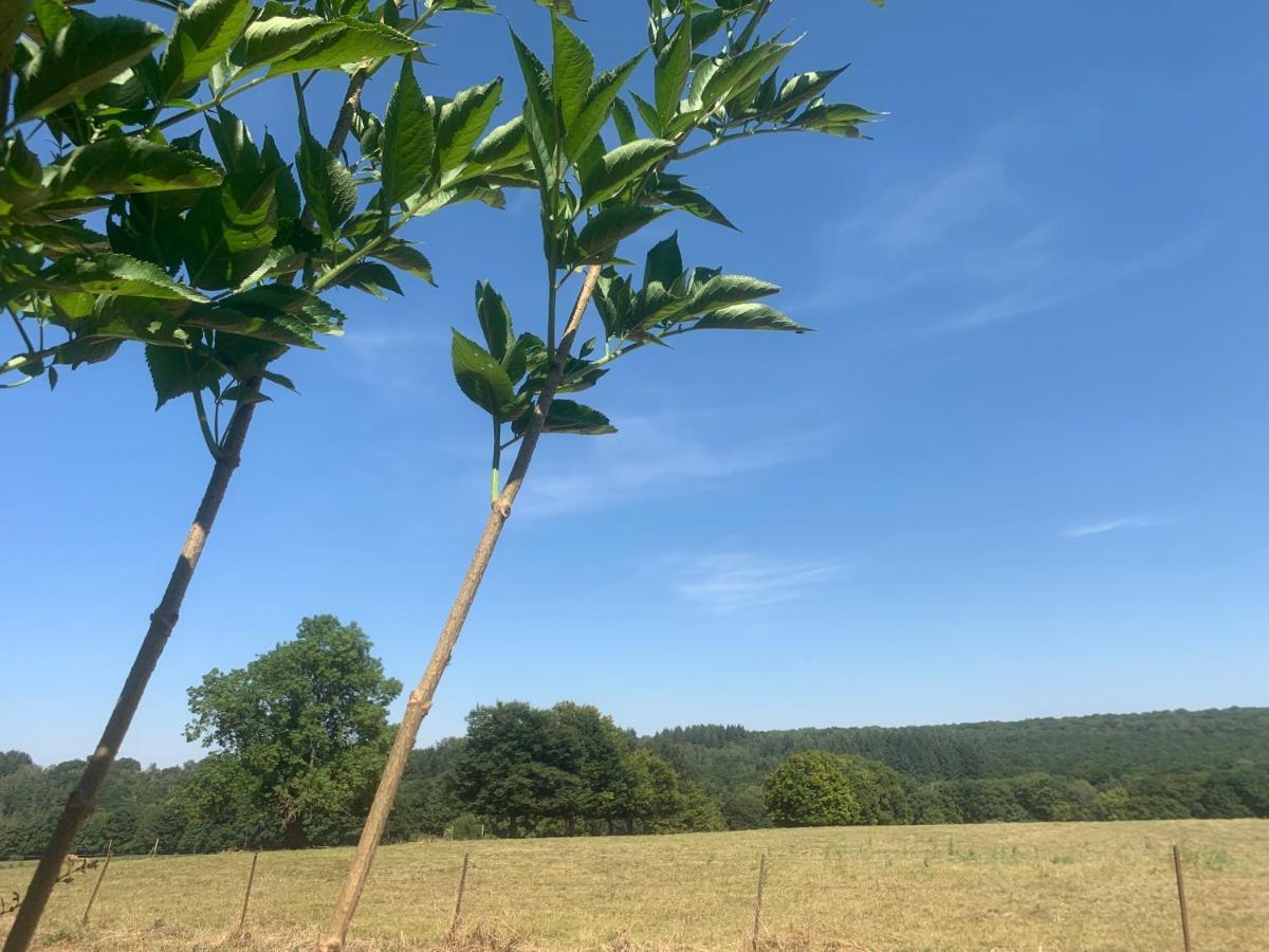 Aux Fines Bulles Et D Hotes Neuve-Maison
